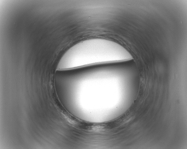 X0000066090462200603101007