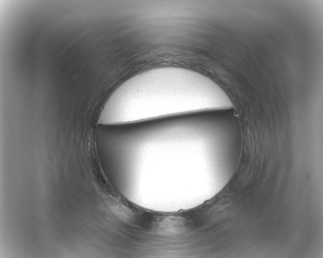 X0000066090463200603101007