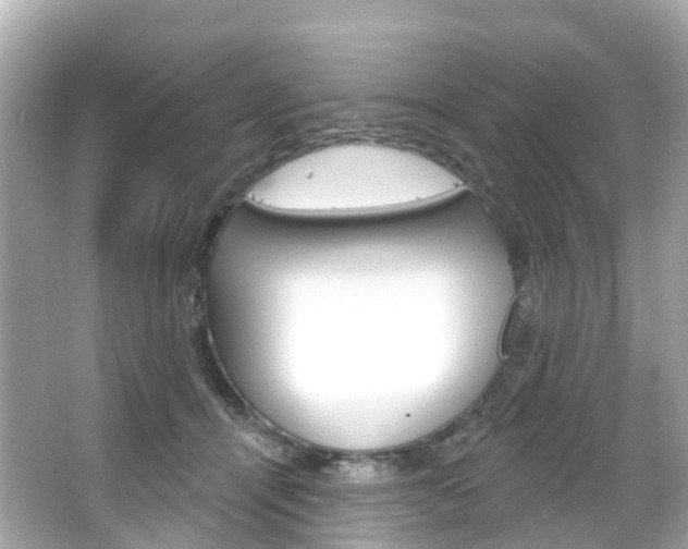 X0000066090464200603101007