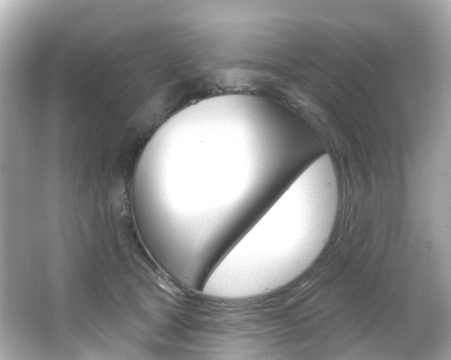 X0000066090465200603101007