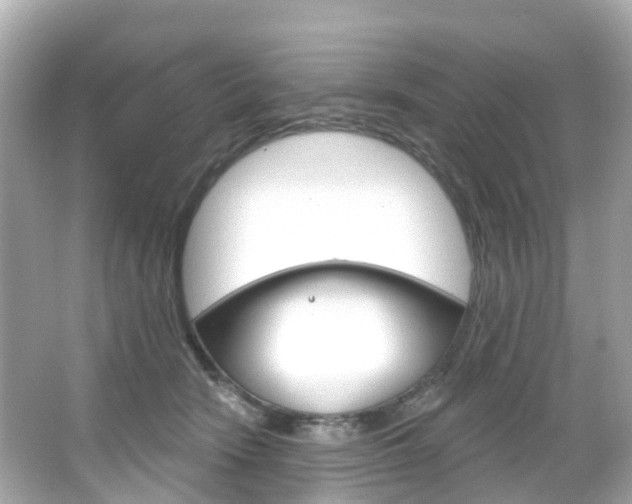 X0000066090466200603101007