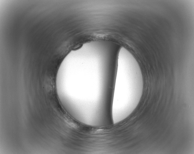 X0000066090467200603101007