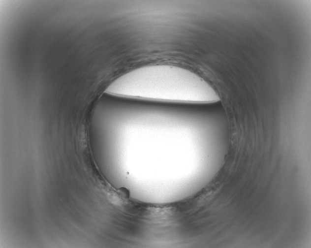 X0000066090469200603101007