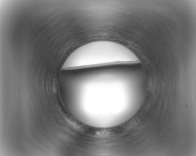 X0000066090470200603101007