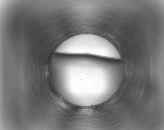 X0000066090471200603101008