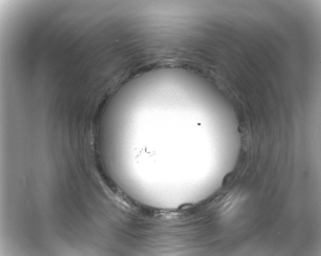 X0000066090472200603101008