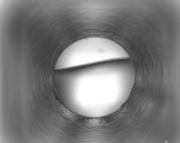 X0000066090473200603101008