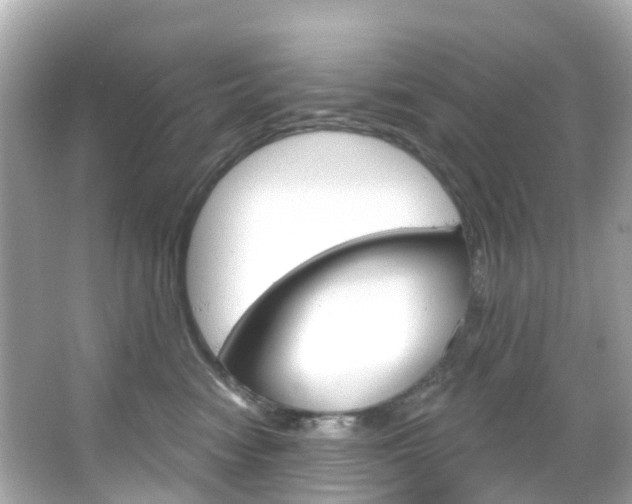 X0000066090474200603101008