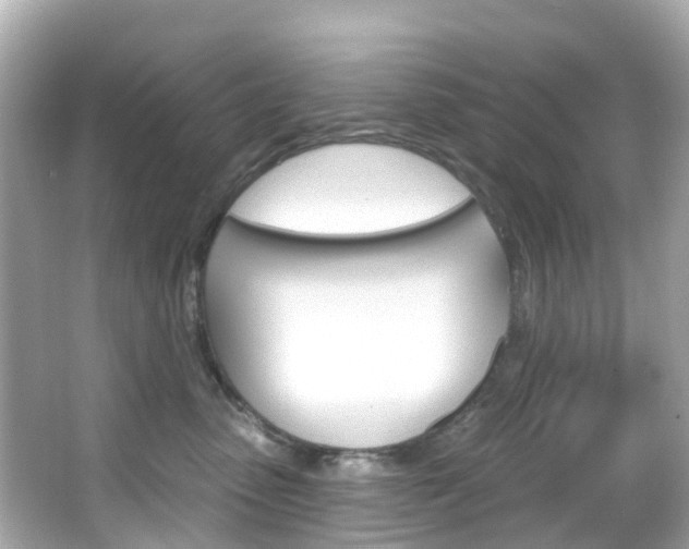 X0000066090475200603101008