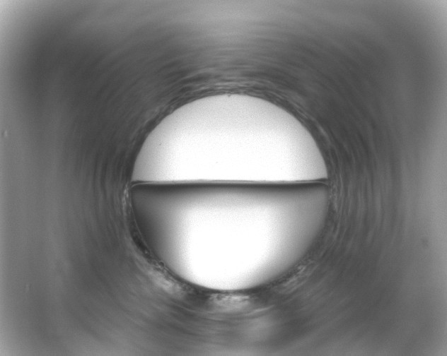 X0000066090476200603101008