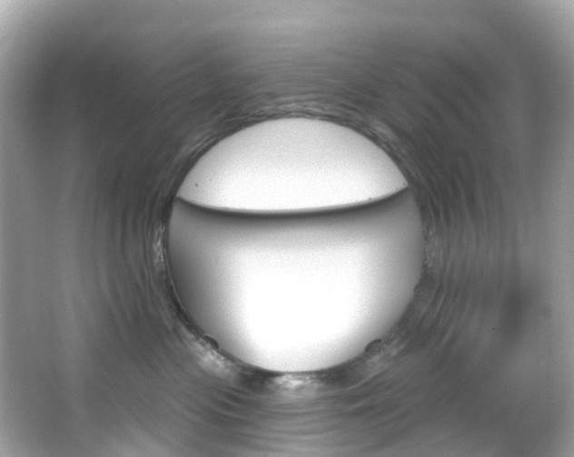 X0000066090477200603101008