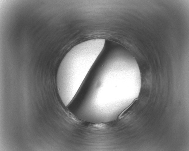 X0000066090478200603101008