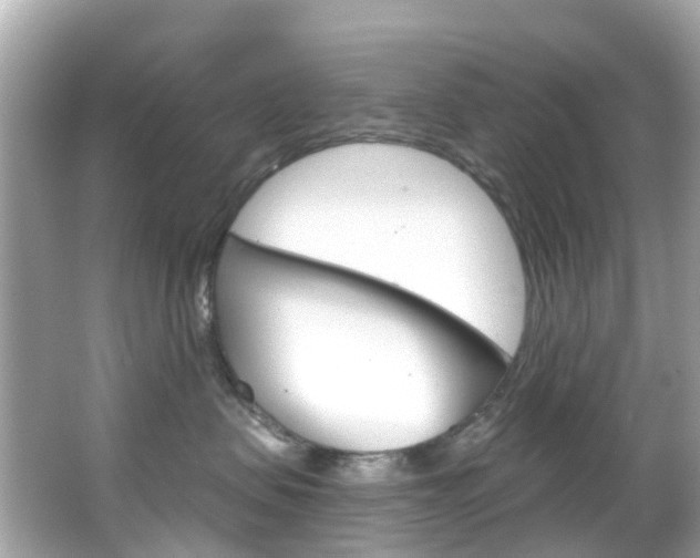 X0000066090479200603101008