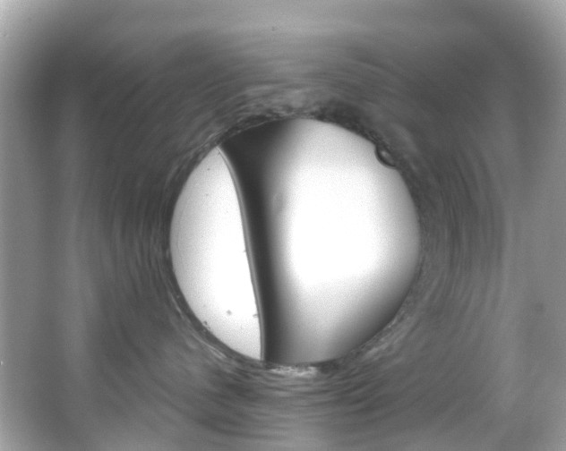 X0000066090480200603101008