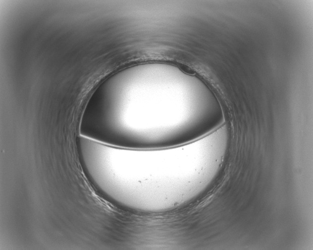 X0000066090481200603101007