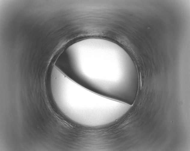 X0000066090483200603101007