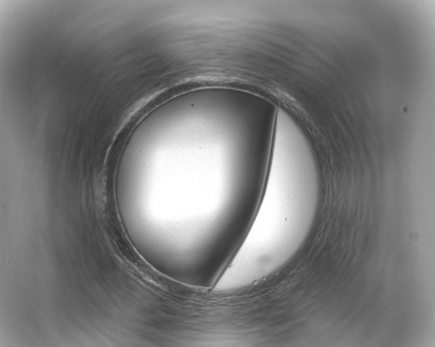 X0000066090484200603101007