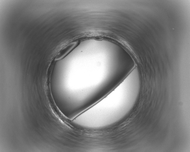 X0000066090485200603101007