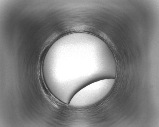 X0000066090486200603101007