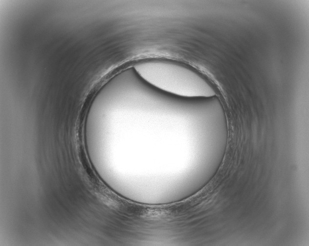 X0000066090487200603101007