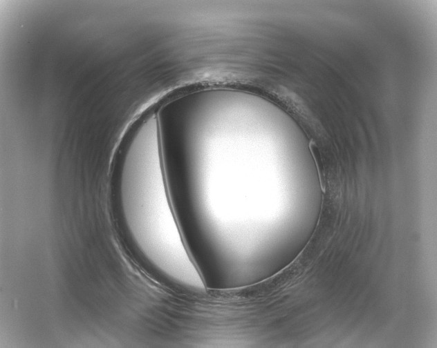 X0000066090488200603101007