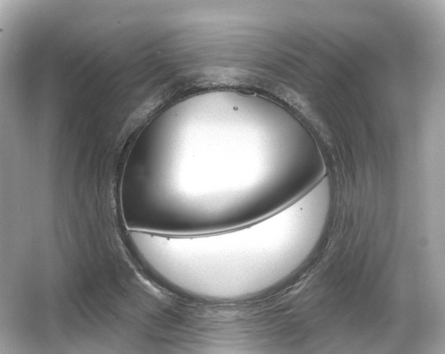 X0000066090489200603101007