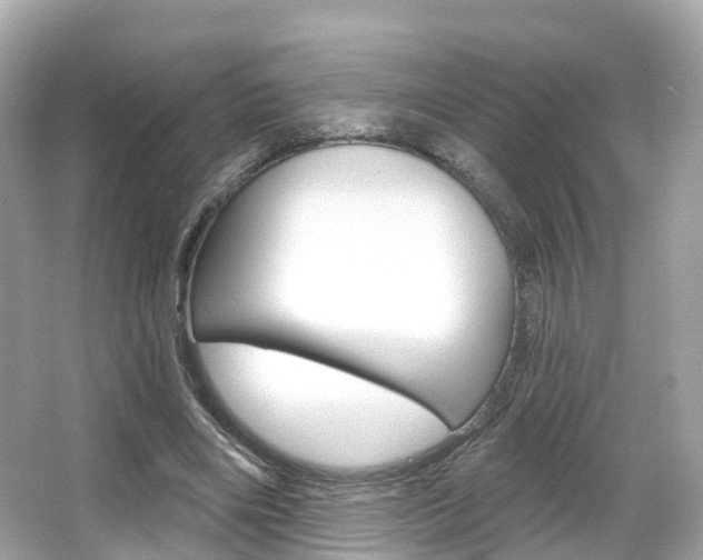 X0000066090490200603101007