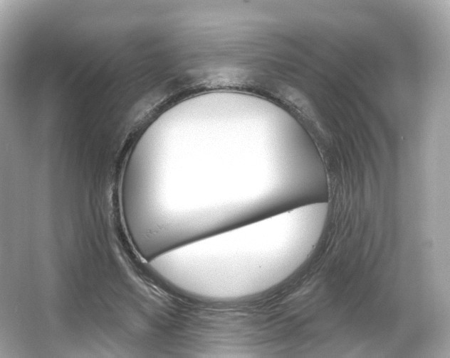 X0000066090491200603101007