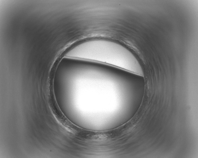 X0000066090492200603101007