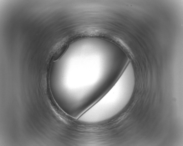 X0000066090493200603101007