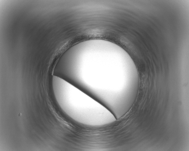 X0000066090494200603101007