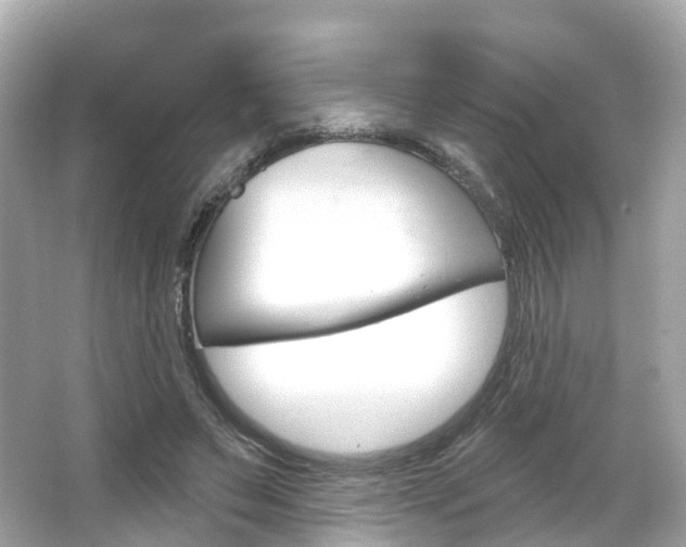 X0000066090495200603101007