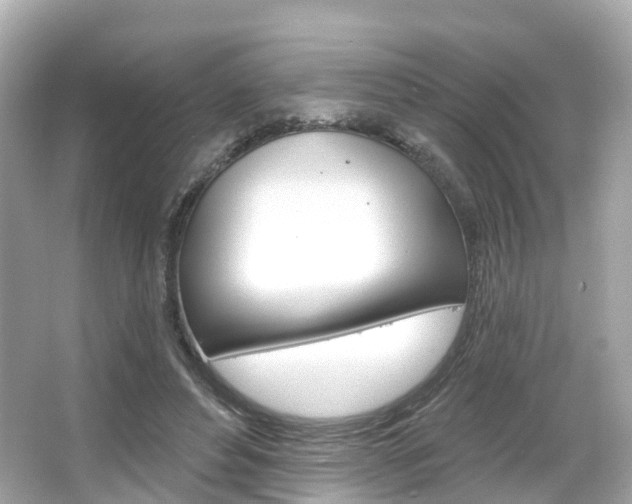 X0000066090496200603101007