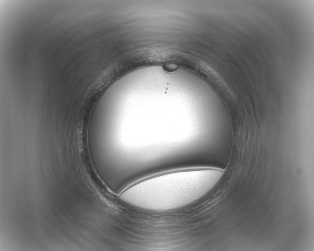 X0000066090497200603101007