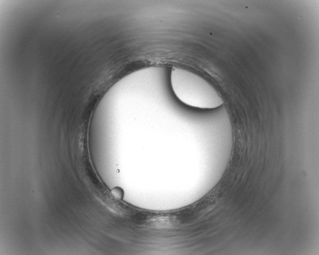 X0000066090499200603101007