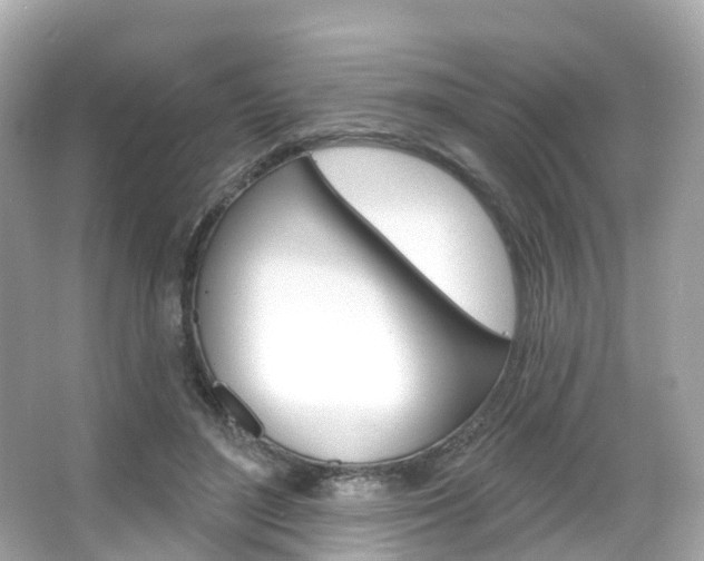 X0000066090500200603101007