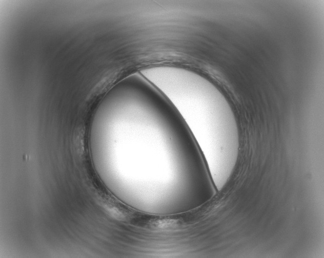 X0000066090501200603101007