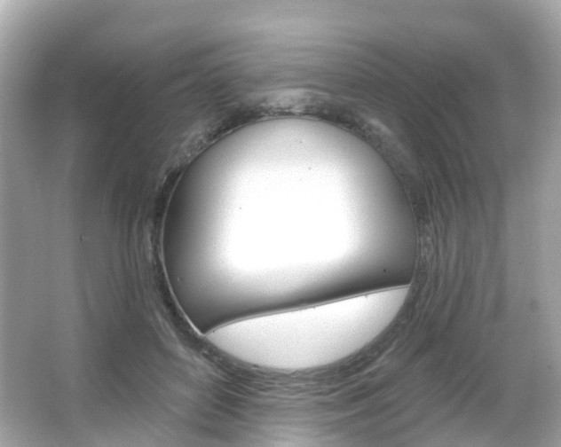X0000066090504200603101006