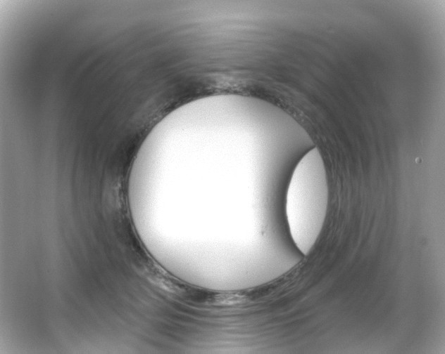 X0000066090514200603101006