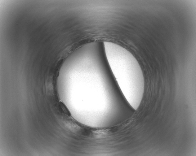 X0000066090516200603101006