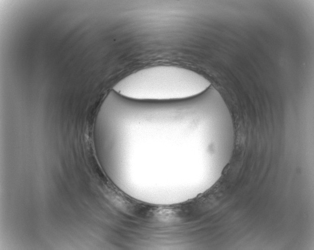 X0000066090518200603101006