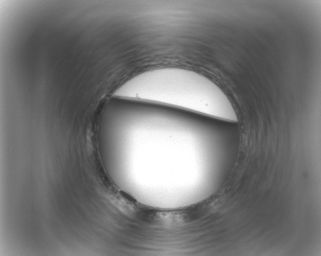 X0000066090520200603101006