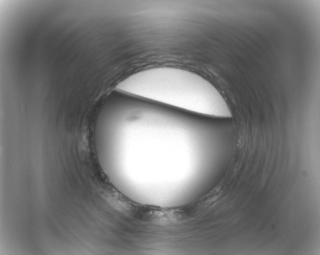 X0000066090524200603101006