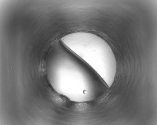 X0000066090525200603101006