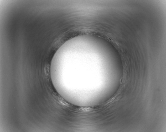 X0000066090528200603101006
