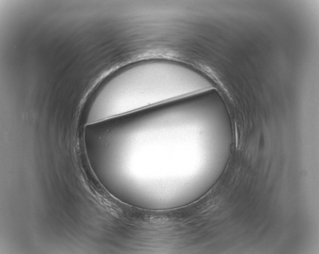 X0000066090531200603101005