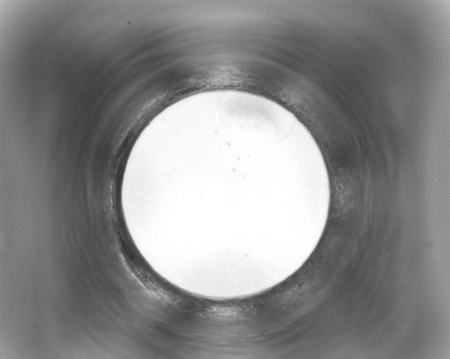 X0000066090534200603101005