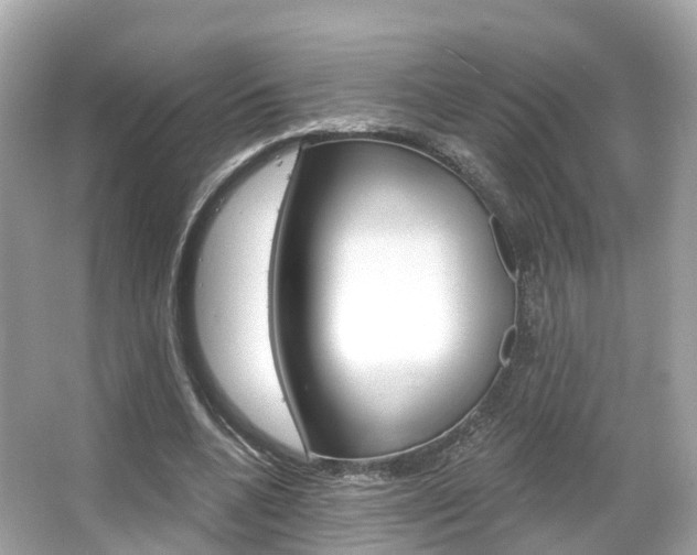X0000066090536200603101005