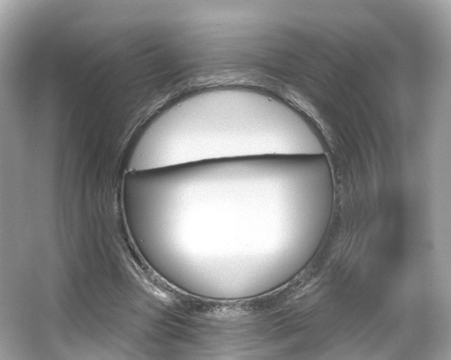 X0000066090537200603101005