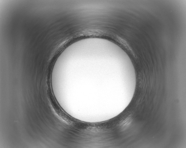 X0000066090538200603101005